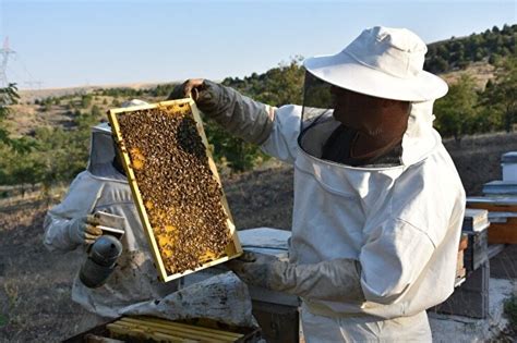 arı zehrinin kilosu ne kadar